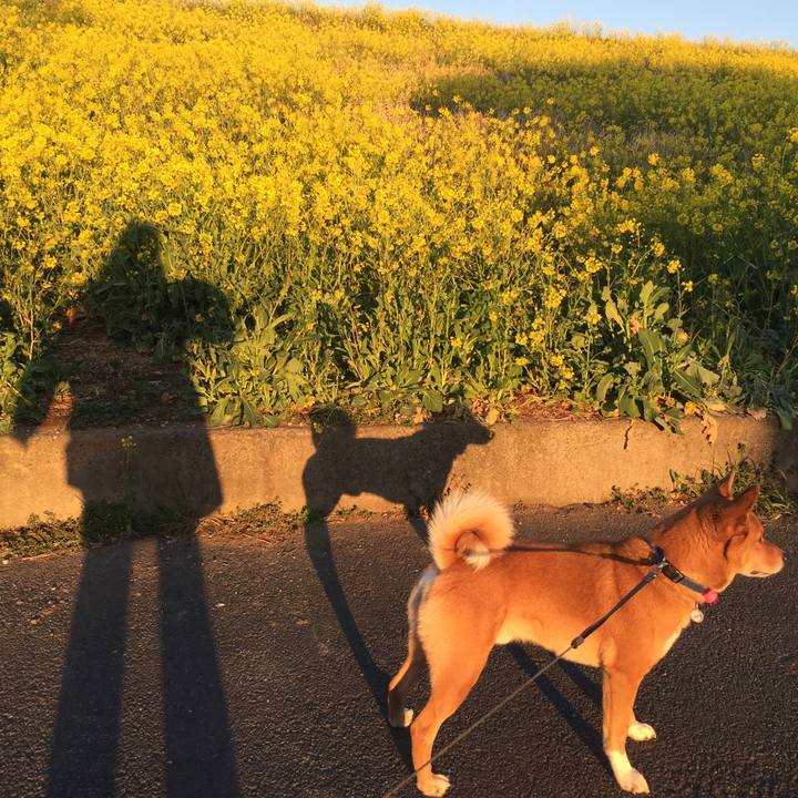 951da0d2 fd2f 4f9c ab99 b7ed1fe3821c