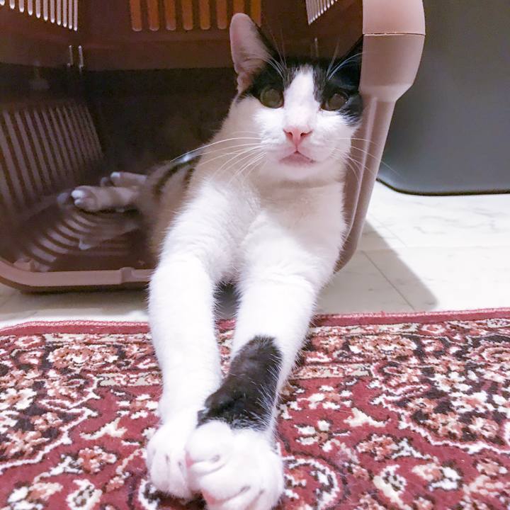 951ddc49 1912 434f b5e8 2e660fe5448d