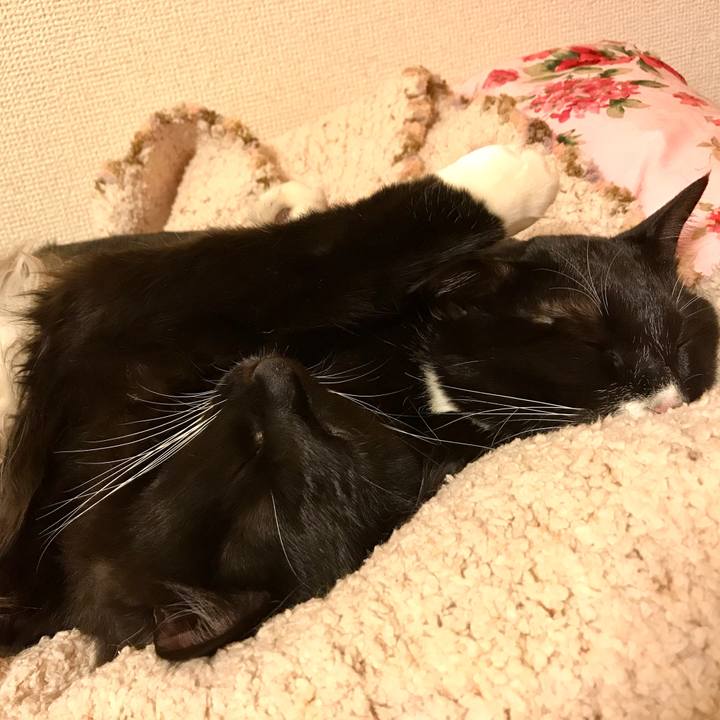 951ddfba d43c 4cdd af32 20a5f5c392df