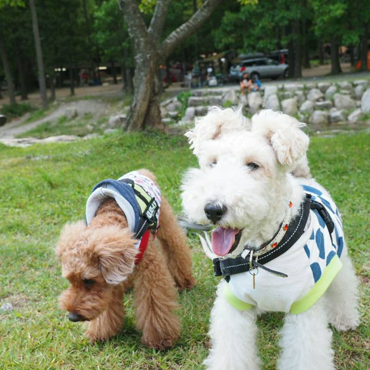 951e8704 ff0a 4d2b 96b5 53593b77a2ee