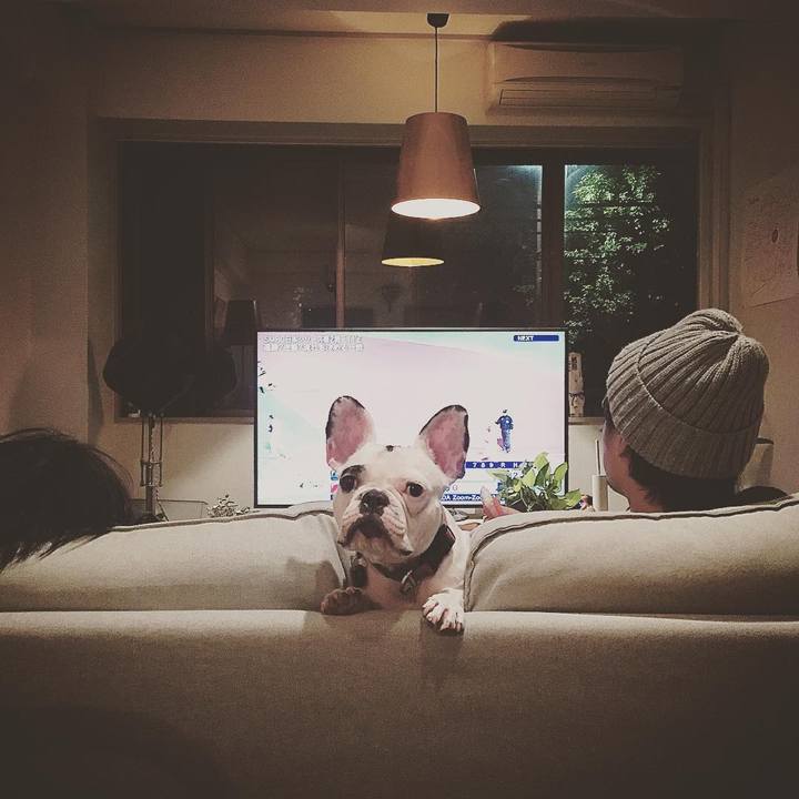 951ee772 216b 4c3d bbd3 79b83d4fe4b2