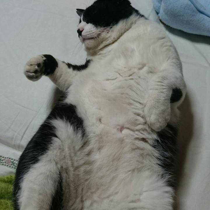 951ee9ab 7a9a 4098 b79b 7d0dcf9ddf7c