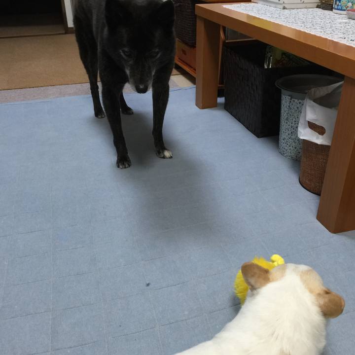 951eea8d 7f38 4217 ab74 0f50ec23cbb5