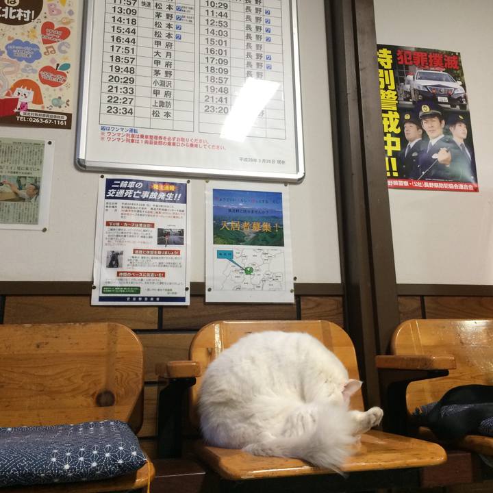 951f41de 426e 41da abd8 9ac605ca955a