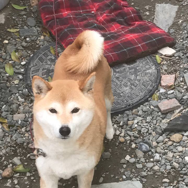 95207146 4595 4c6a 8555 c86d78efbcf8