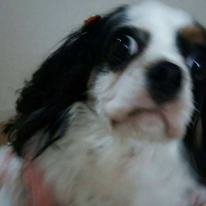 95209bca 1cbb 4101 b109 14e6d07f6156