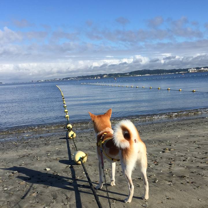 9520eded 1e22 4da1 aac7 3854cbd0218d