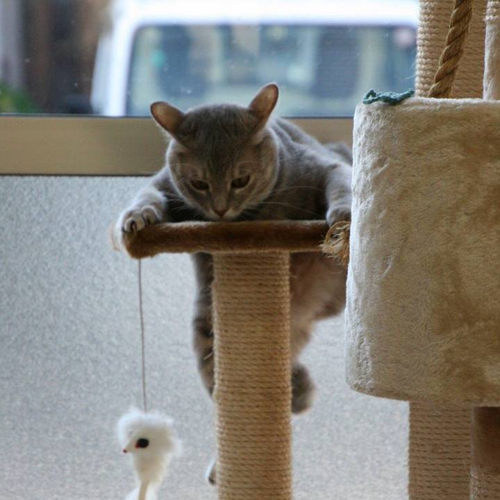 9520f999 7283 40f4 b203 39419e31db60