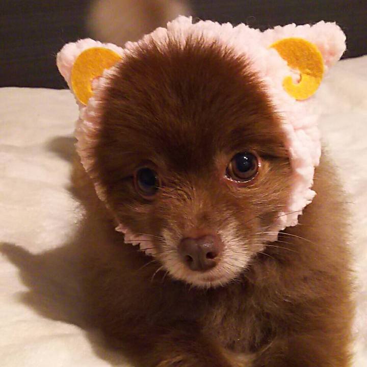 9521136a a10d 4b41 af76 26e134ab64b5