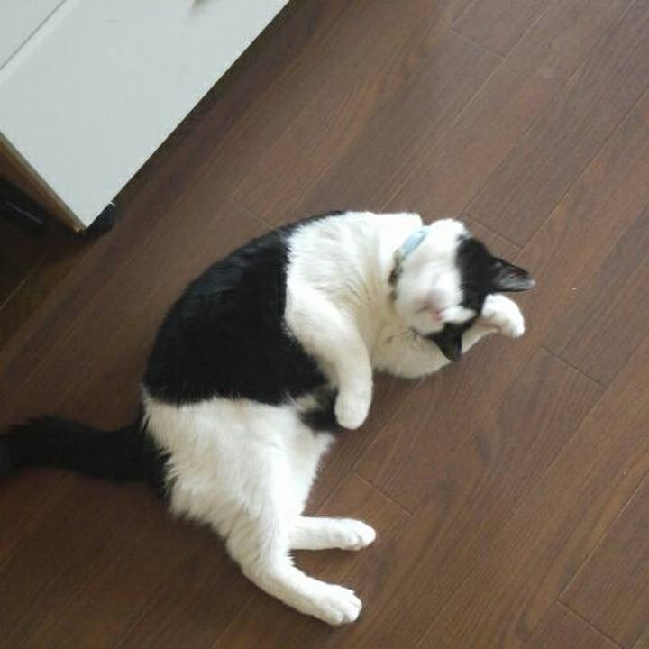 95211d69 55ee 4c9e a4bd 4340ee0631a1