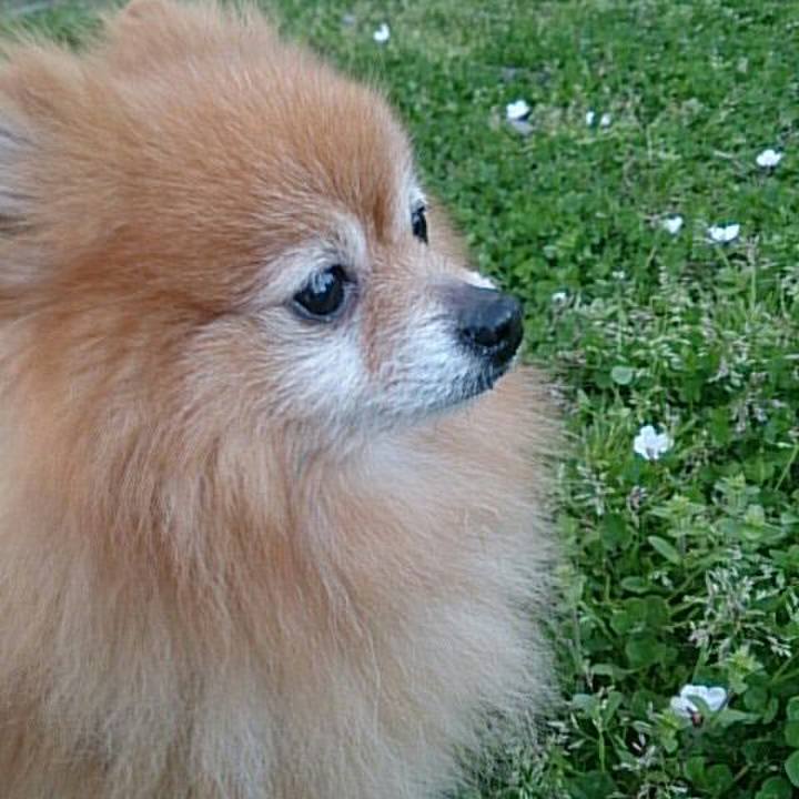 95216b56 b226 40d7 aa6c d6c3d591562f