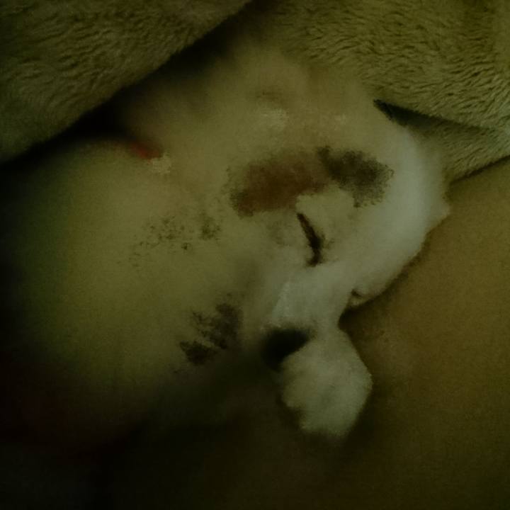 95226c5f 8f21 4799 87d5 57b12978a83c