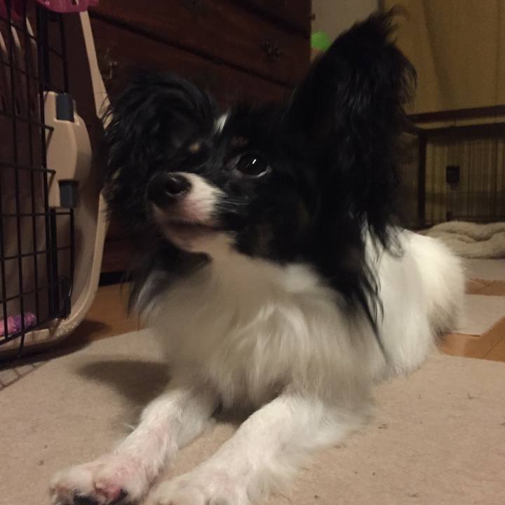 95229646 c42c 4658 a82a fae50a153860