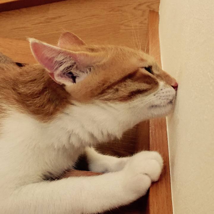 9522a14a b3a2 48df b42d d33b023f78c6