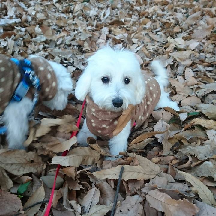 9522ae37 4886 40df 8bf6 ec2e96c2d252