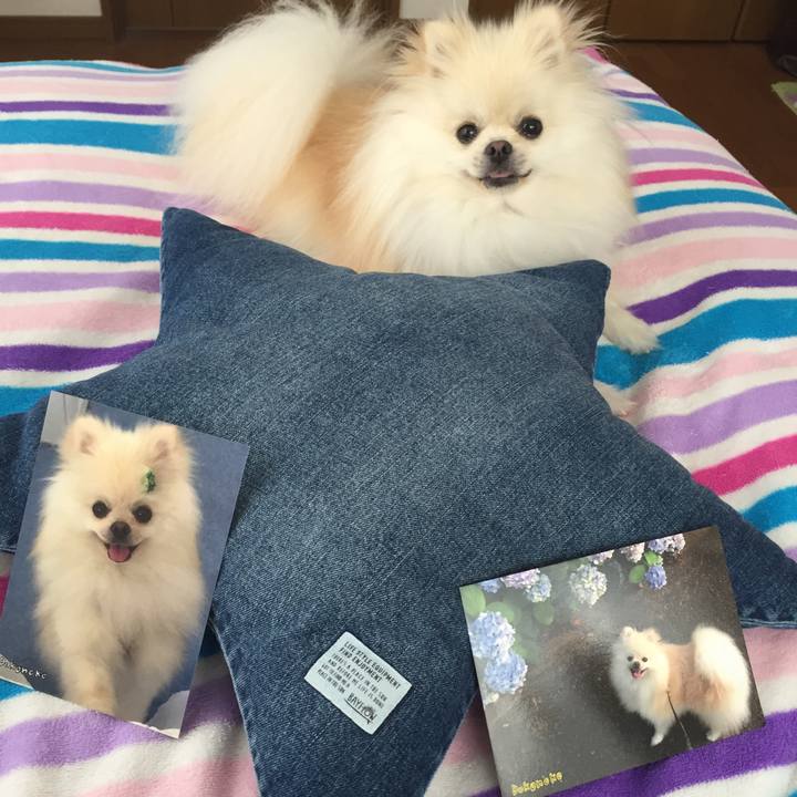 9522dfa8 c2e5 45a9 998c 0223857efbac