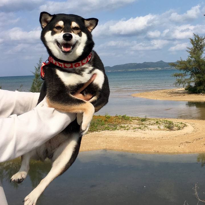 95231090 7b2d 4d99 b52d 9a2755adc4e1