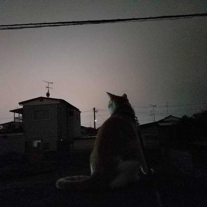 952399b9 8f38 444c 9ee2 b48a424b5908