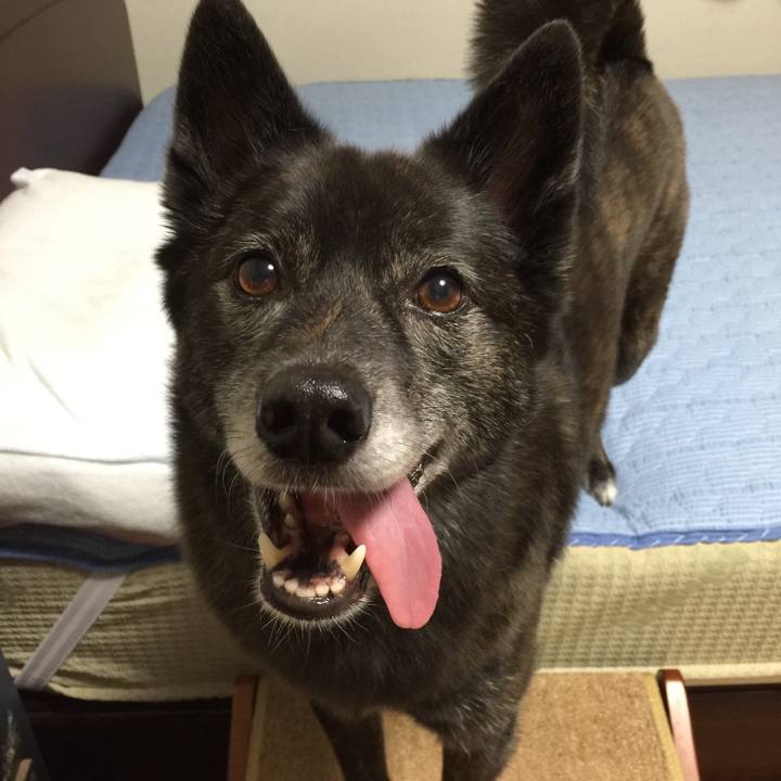 95243759 9f91 4825 a8aa e70863f44577