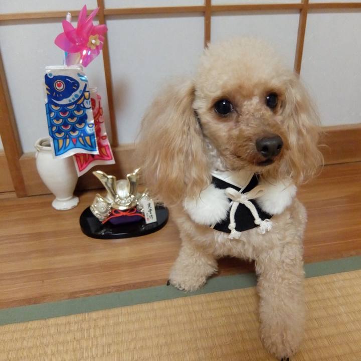 95257d20 eabf 467d b7f3 54e4c32a53d1