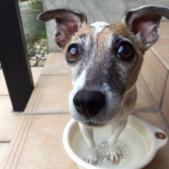 95258883 7857 4d58 8366 960ea316b63e