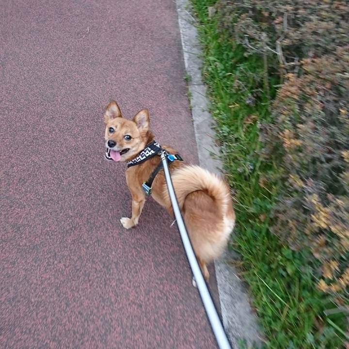 95258a1b 3316 4dcd adce b5f42281a6f1