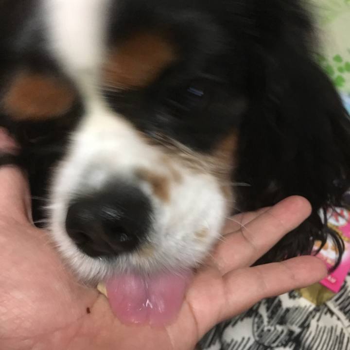 9525947e ce92 456e b8e9 2ad69b101683