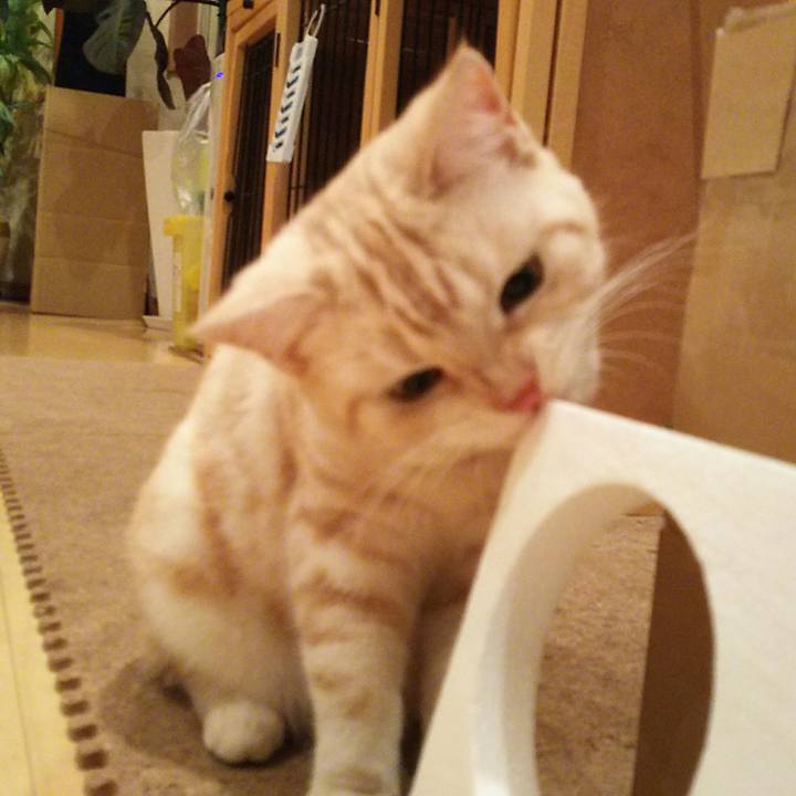 9525f858 7c8e 4482 a98c ec908bae1677