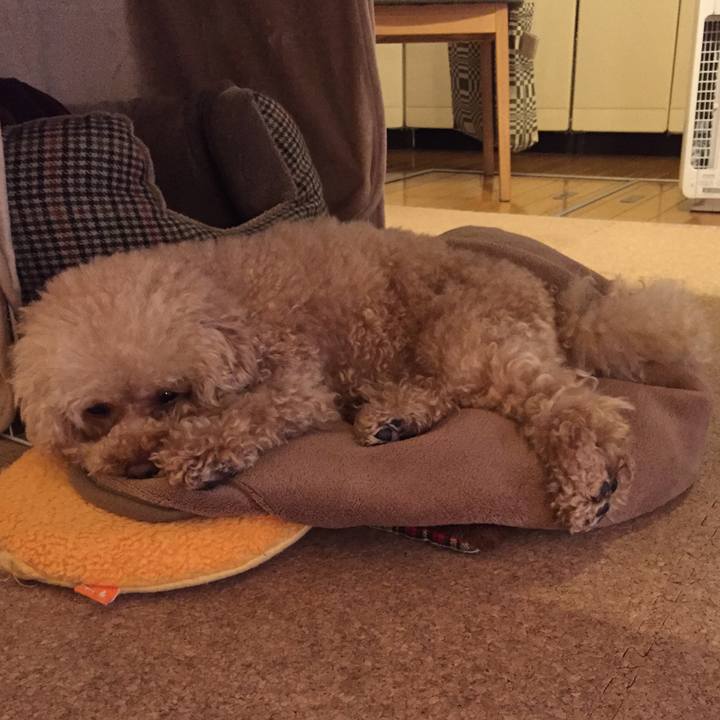 95261bba ba58 4a64 9584 09878f6a723d