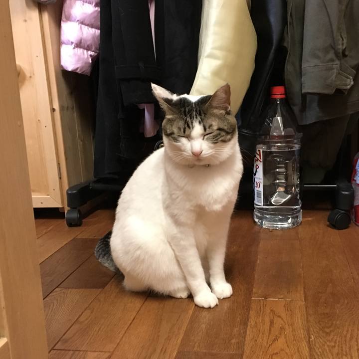 95261f7c 52d8 4916 82db d368962d2568