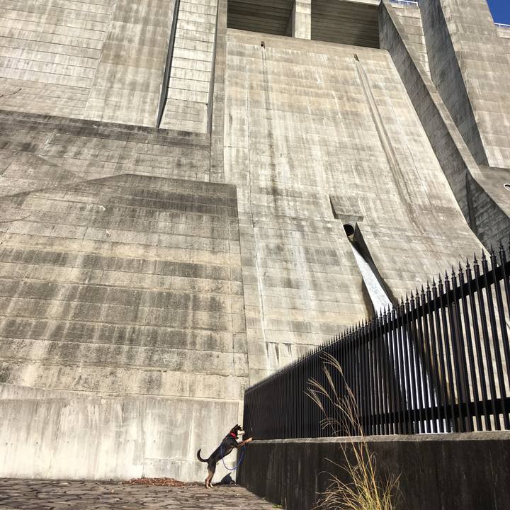 95274629 e639 4eb7 af23 f936ee1aa559