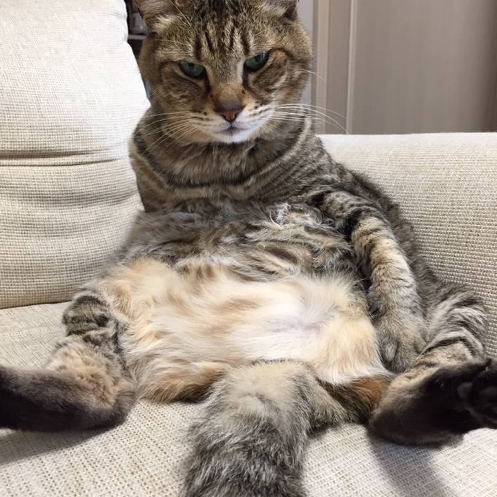 952792ae 54f6 4d2f 9263 3b81a51c2600