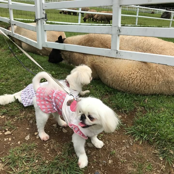 95279451 0dcc 438e 89a4 d59ca6c22f63