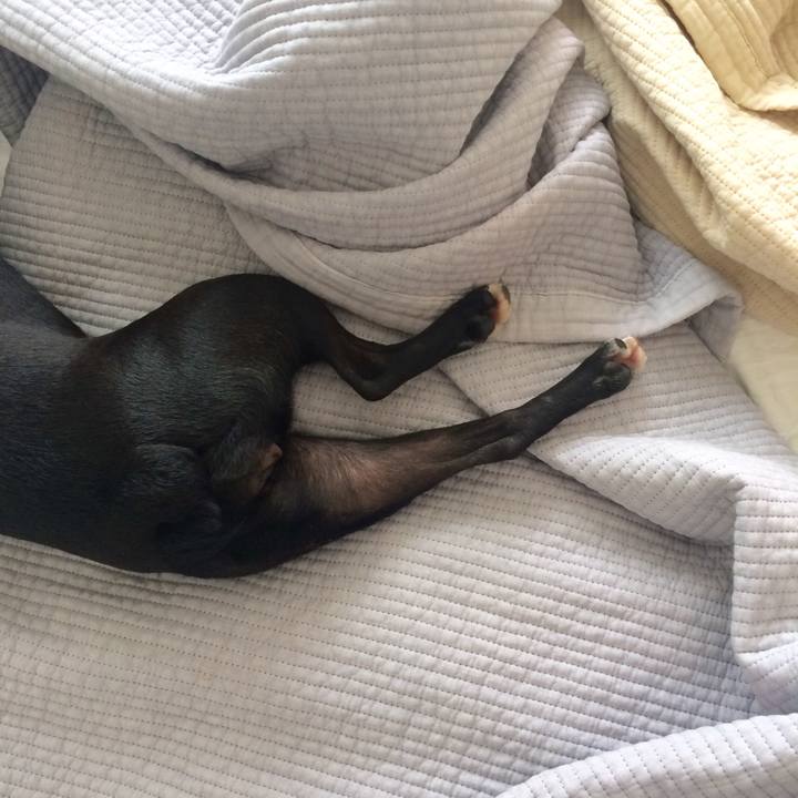 95283921 987d 4b23 84aa d5fba97b1078