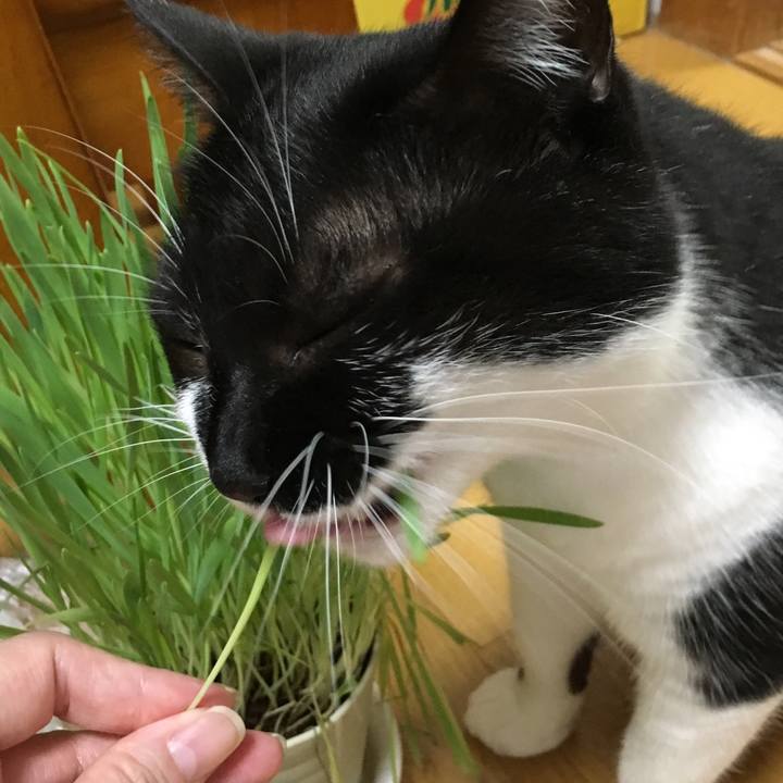 952898eb 0705 4aa6 9c09 25effd355da9