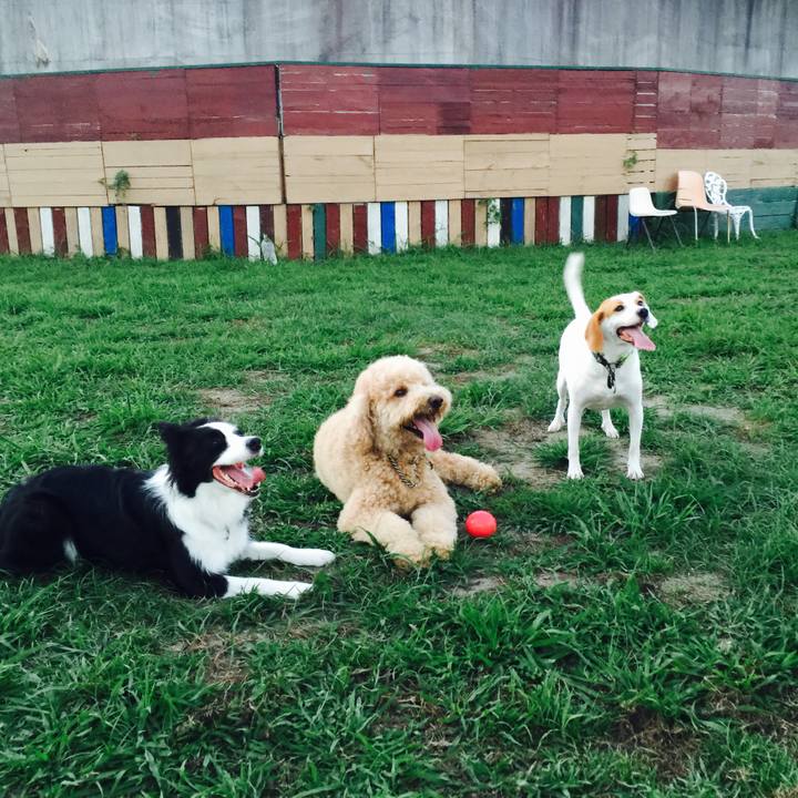 9528ba54 3b51 4be1 a89f d0db03e9ba84