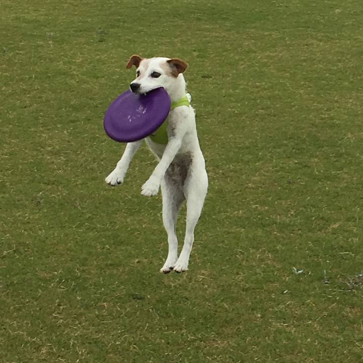 95290140 3025 413f 8796 0a64478fa233