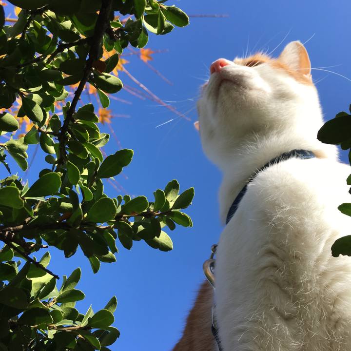 95297b44 5671 47ce 8edf f666fed51735