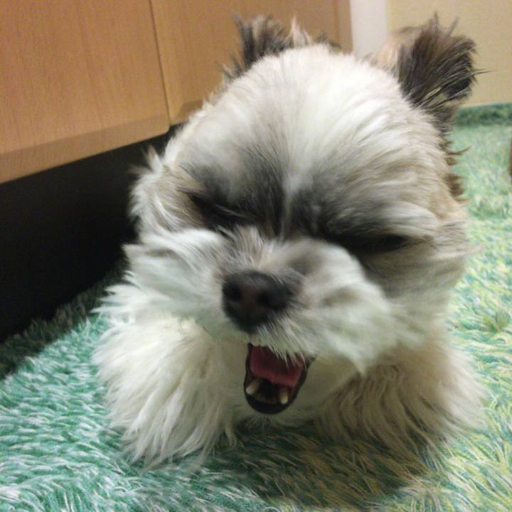 9529c454 8f25 421e bb02 6fcf962b4e01