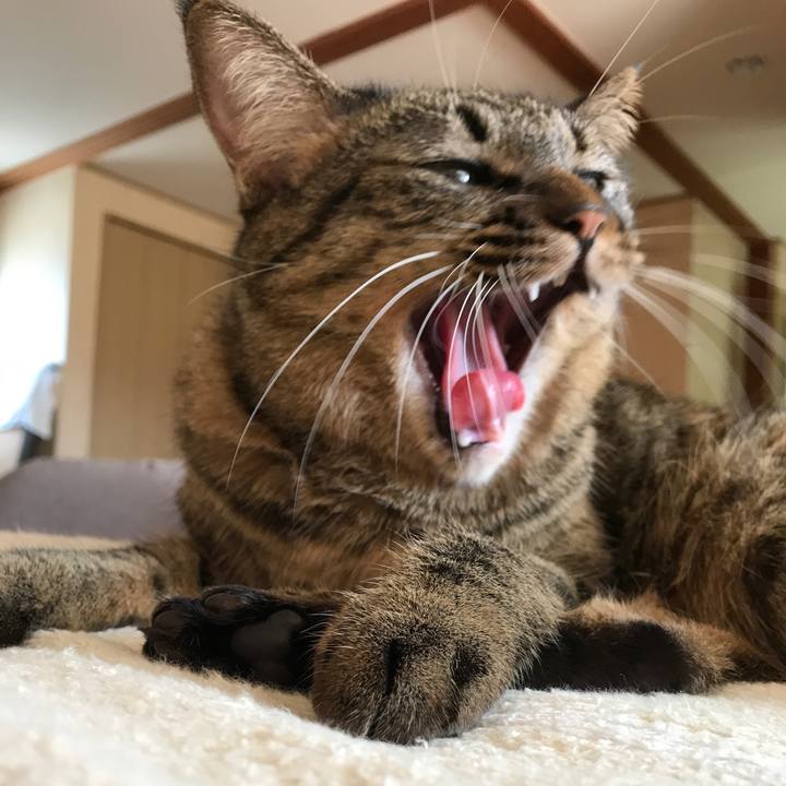 9529dcd1 7b15 419a aeac f45b22b1c80f