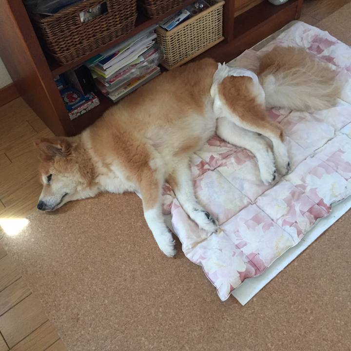 952a41f8 29c4 4abc b518 29ffe9f9dd1d