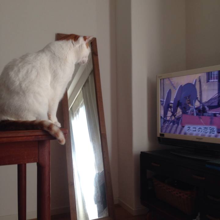 952a47e6 d076 42c8 9639 aa8b741d1a75