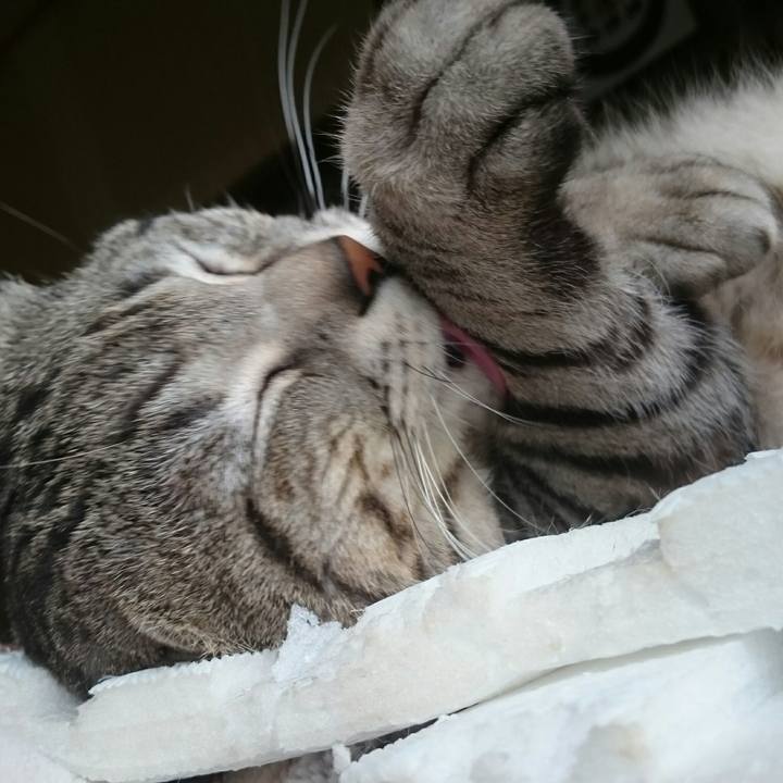 952b105f 6ff6 4c7b 8c1c 651f3b72847b