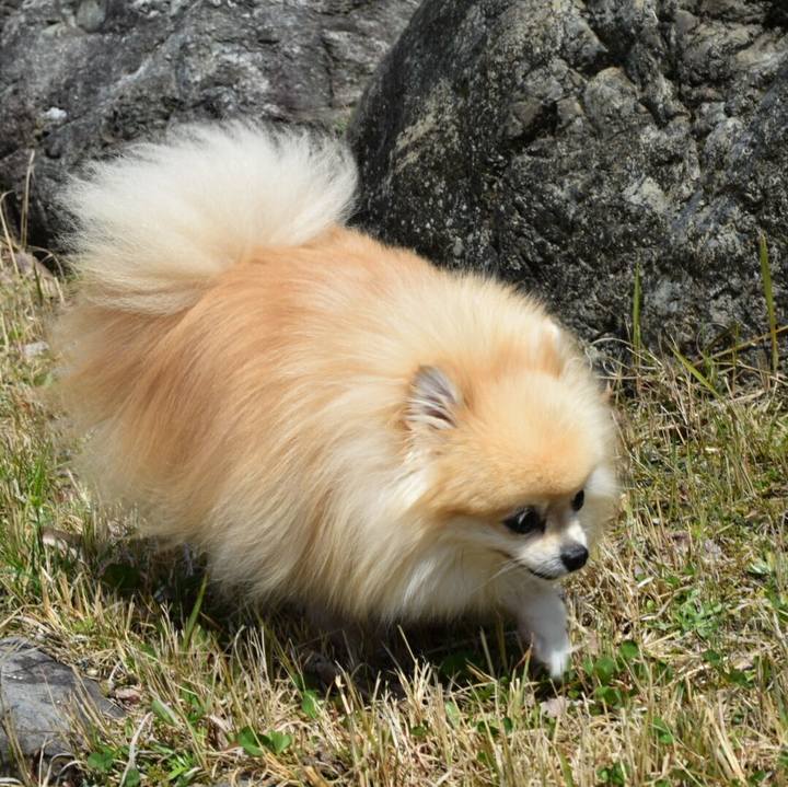 952b2041 761e 4dec a8e3 cf34f9da5856