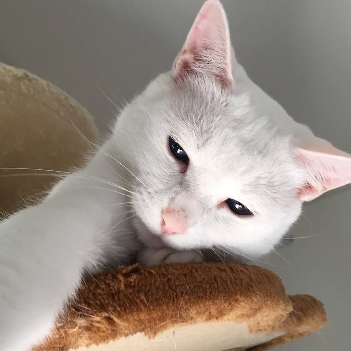 952b3b9d 46df 4951 a1fc edf321358d0e