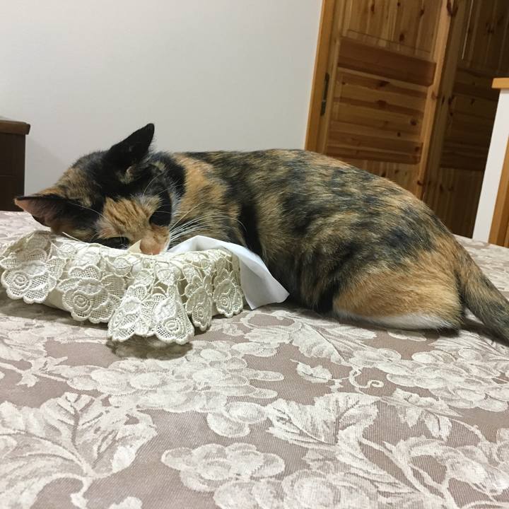 952ba90c 39e3 47f1 a17b b5869ee119a7