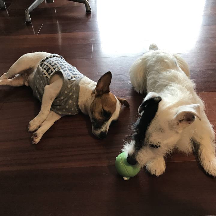 952bde45 08e6 4307 bed4 99dbbf8f6f30