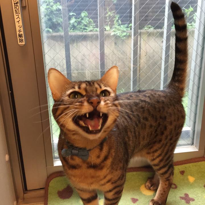 952c40c6 14a3 4355 9931 d4f0ec37737a