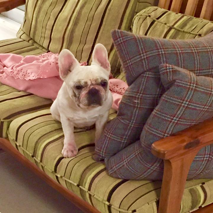 952c4434 c60a 4995 866e 5f47857317e5