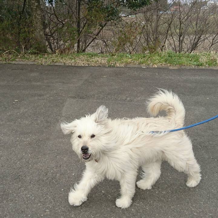 952c60c7 e9c5 4cb1 9d4d 441b3a4211bc